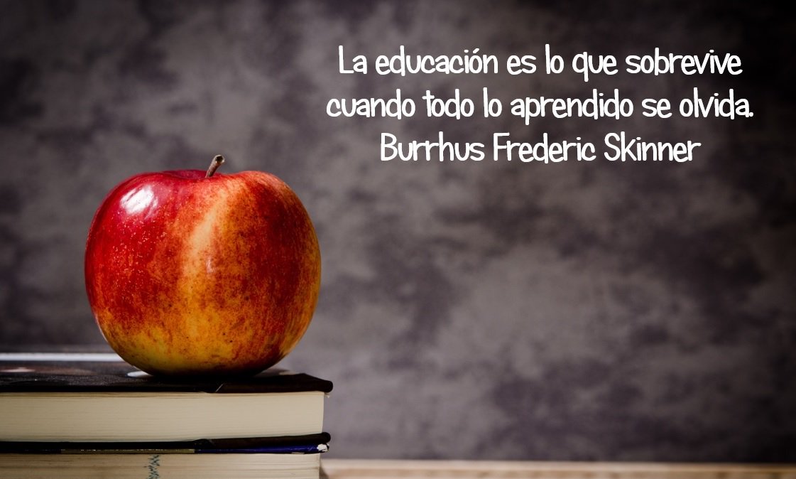AsocTeseim's tweet photo. Excelente educación esa!!🙌🙌 https://t.co/DAoe0pcR1R