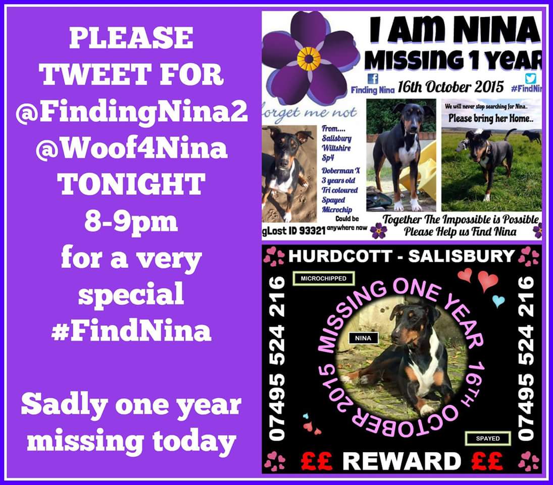 County Pet Services tweet media