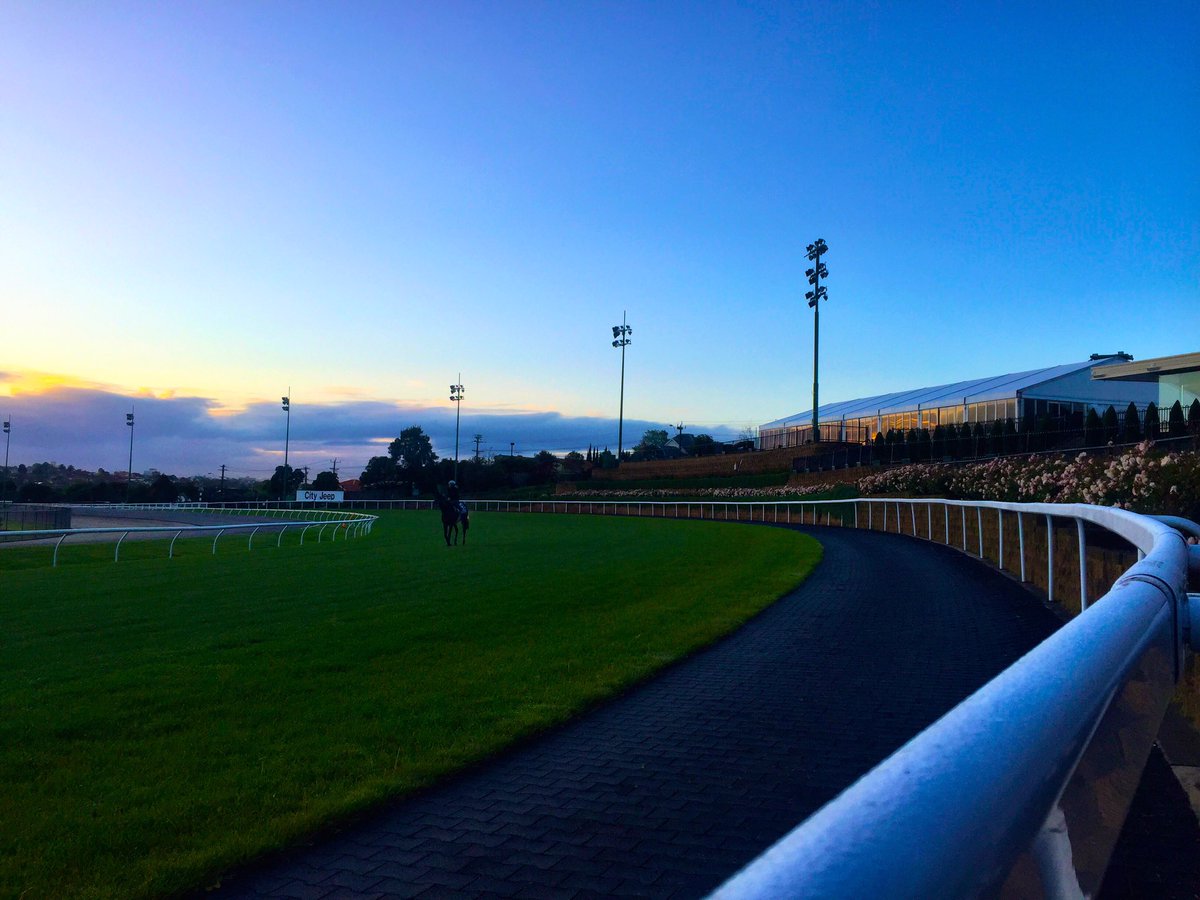 BenLisson's tweet photo. On the rail at @TheValley as 'Vadamos' plans #CoxPlate assault #winxwho #hartnellwho @abcnewsMelb @abcgrandstand https://t.co/XPptGs2Mri
