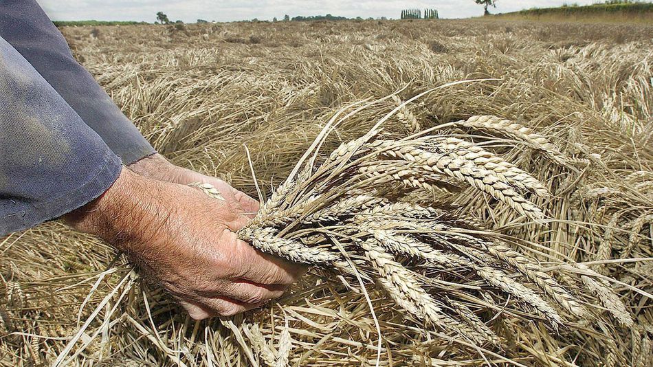 MT <a href="/mashable/">Mashable</a>: 6 ways climate change is threatening food security — &amp;  what we can do about it: ow.ly/3a03305dWAC #WFD2016