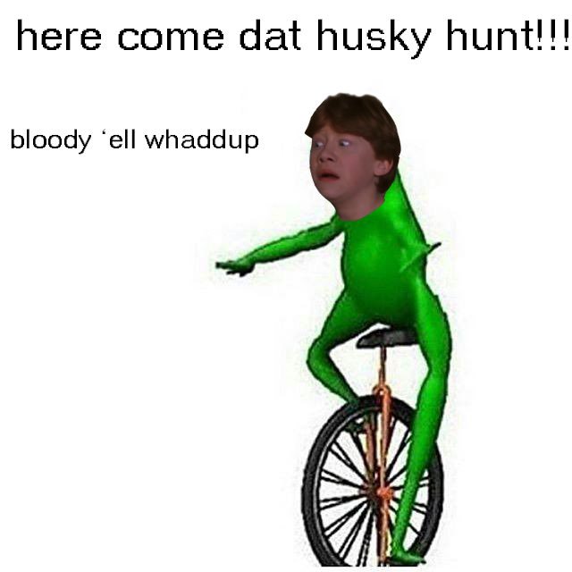 Just over a week left for Husky Hunt registration!! bit.ly/RSAHH16