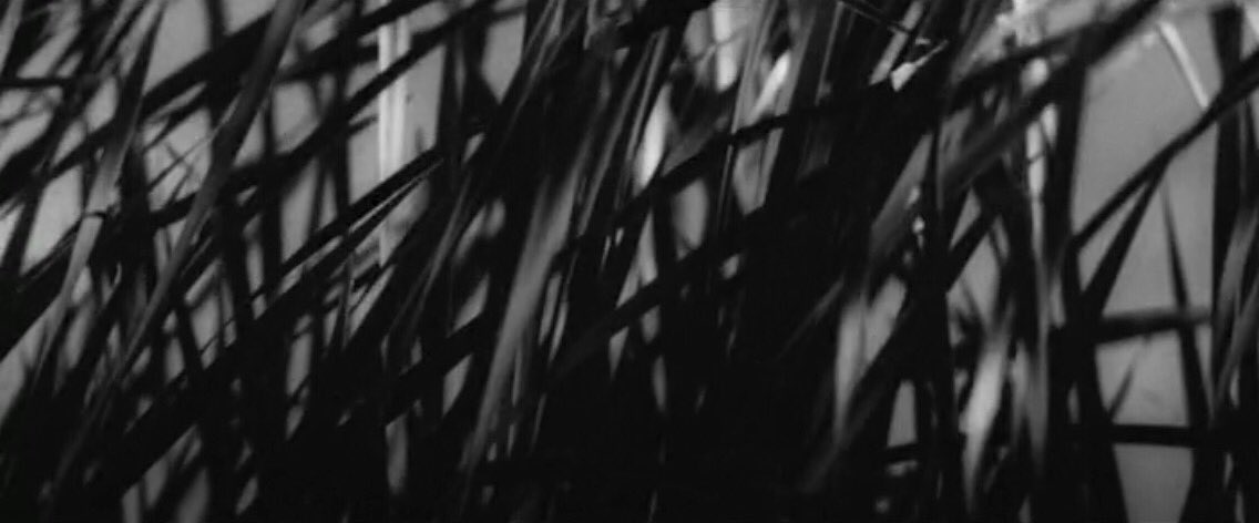 chriuh's tweet image. shindô // ONIBABA