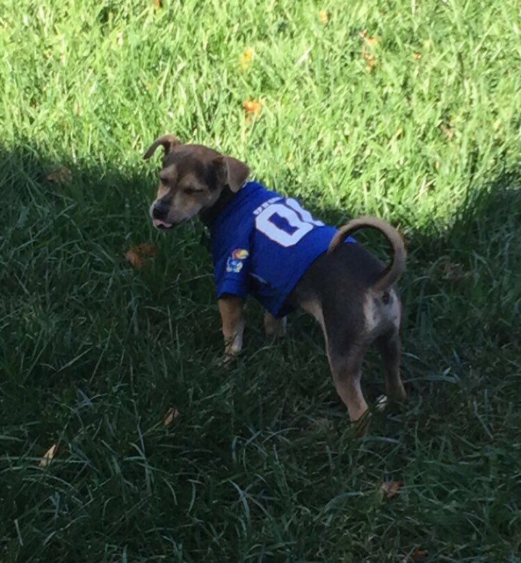 Junior Class tweet media