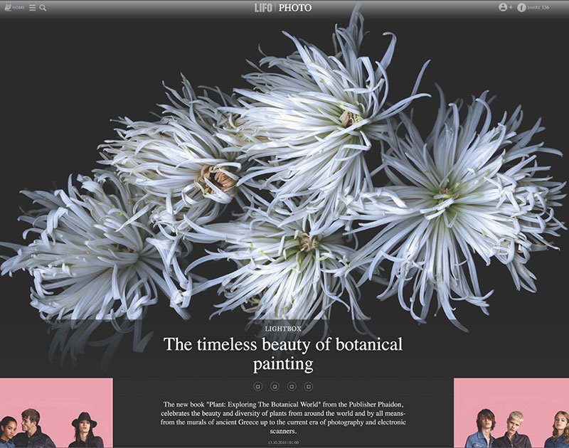 brockmaninc's tweet photo. Linneaus, da Vinci, Darwin, O'Keeffe, van Gogh and Katinka Matson, in Phaidon's "Plant" https://t.co/SHaVHPuihw  | https://t.co/KLM7V450U3 https://t.co/2SjV3jlucG