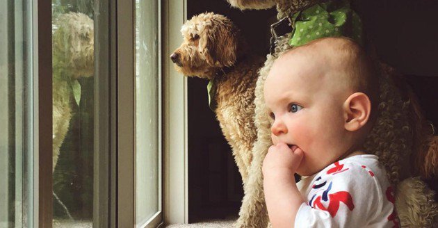thinkpup's tweet image. Can you make it through these 17 pictures of babies and #puppies without dying from #cuteness? buff.ly/2dKqExM