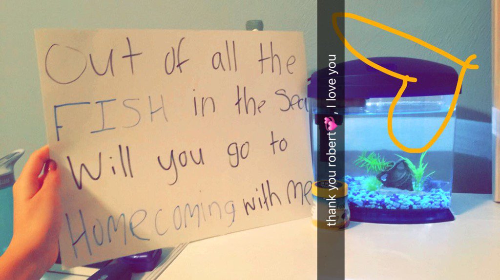 _jenna_daniels's tweet image. #twitterlessrob but he's so cute❤️