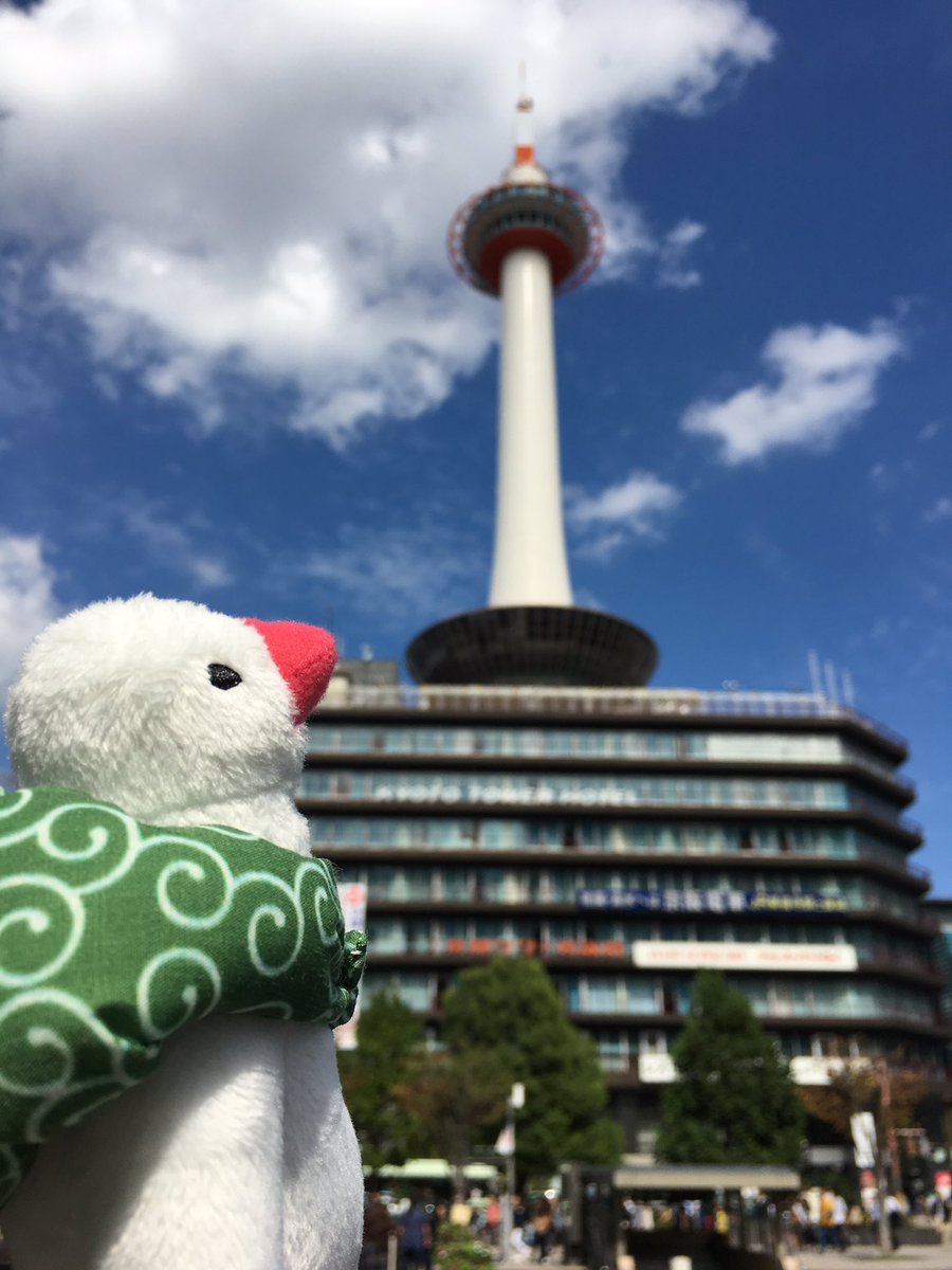 𓅪𓅪ねぎちゅん𓅪𓅪 tweet media