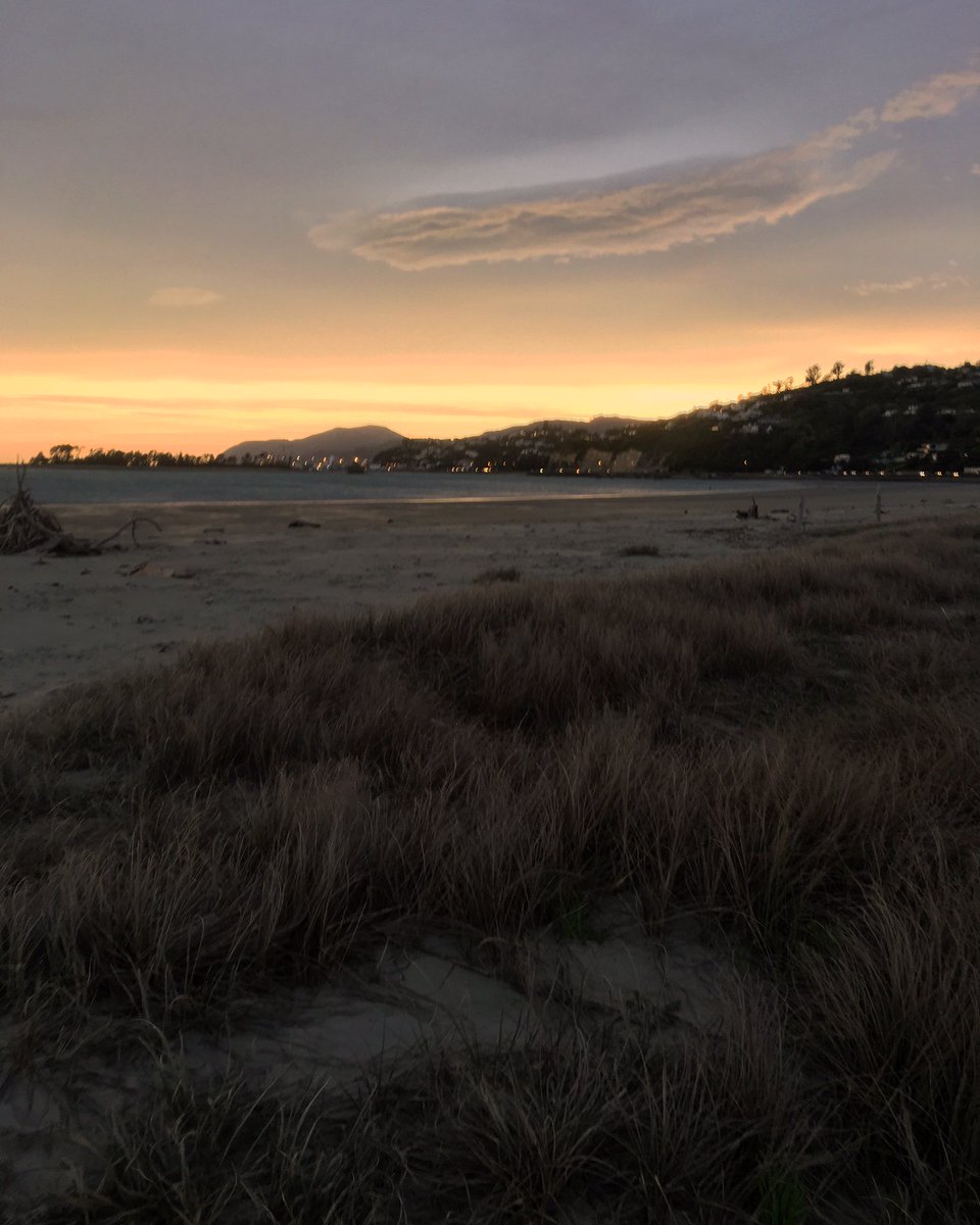 AliKimber's tweet photo. Early start to get in my #run on a monday morning, #nelson at its best at 6am. Didn't show the 40k headwind though! #chickswhorun https://t.co/JhcL65MRNX