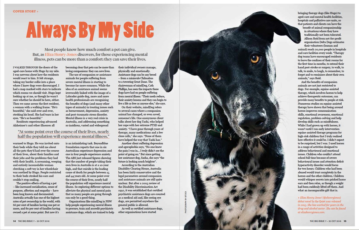 thebigissue's tweet image. We meet some dogs in the latest Big Issue, but it's about more than furry faces. Grab a copy to read about assistance dogs &amp;amp; mental health.