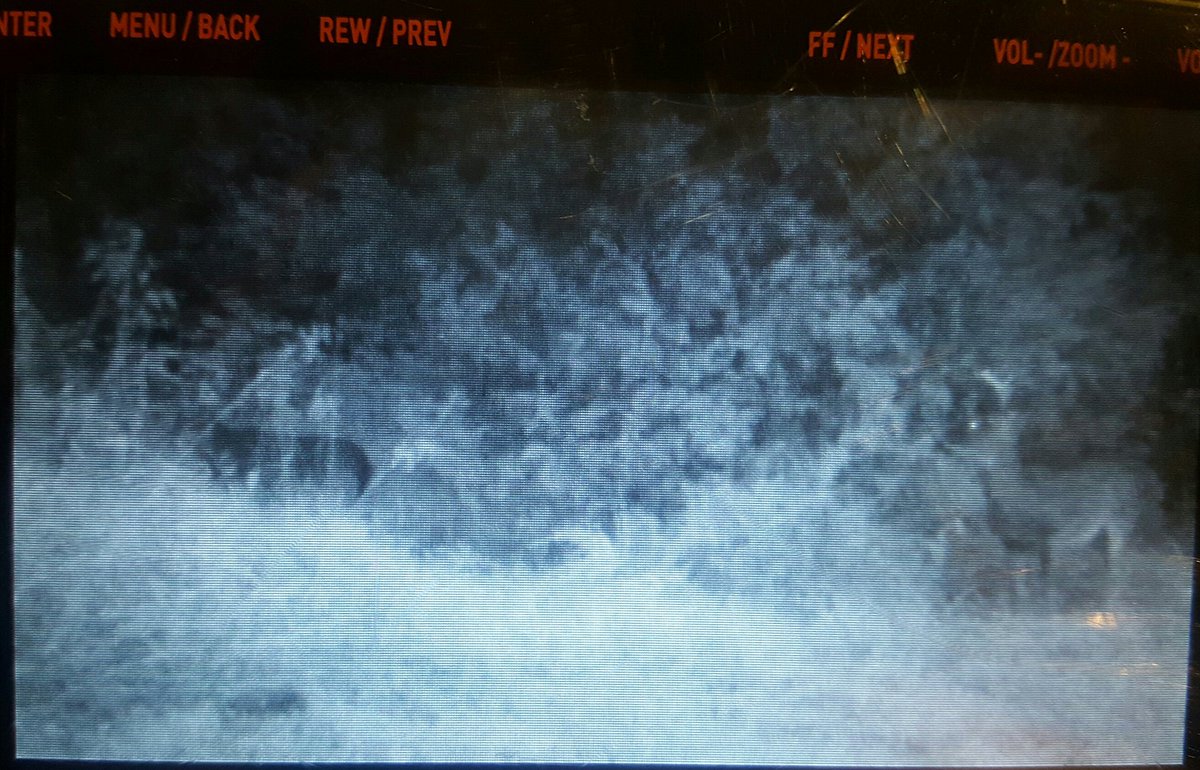 Think_Crete's tweet image. This pic was caught on cam behind where we are building a showroom/shop. Which would you go for!?! #NWARK #NWA #HUNT