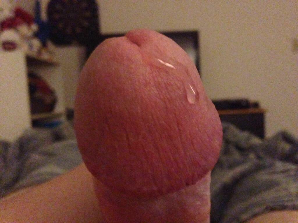 cumtributes24's tweet photo. Looking to unload some #cum on some pics #cumtribute #cocktribute looking for #CockWhore #cumslut #cumsplatter #facialcum #moneyshot DM me 😃 https://t.co/RUTeEY3w7k