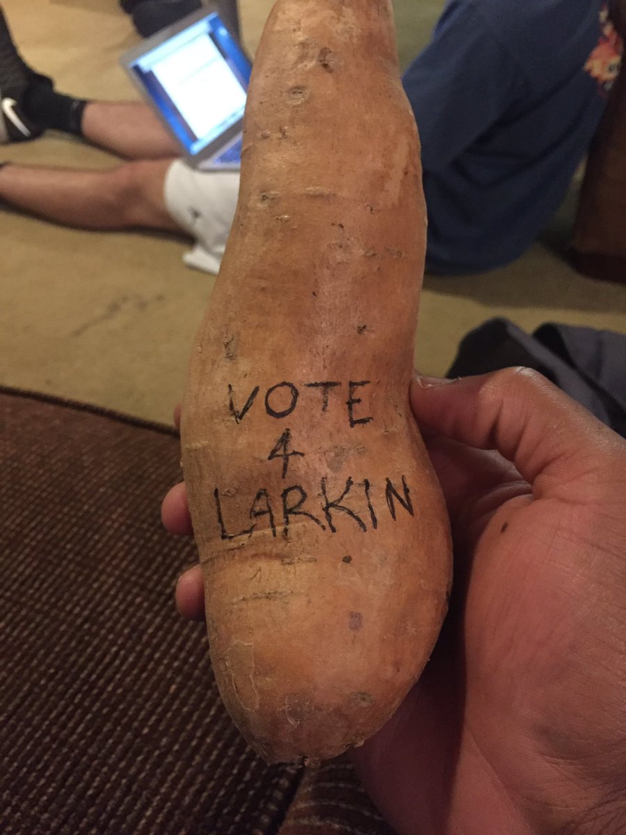 UCMLambdaChi's tweet image. Listen to the sweet potato!!! And vote for "sweet potato."