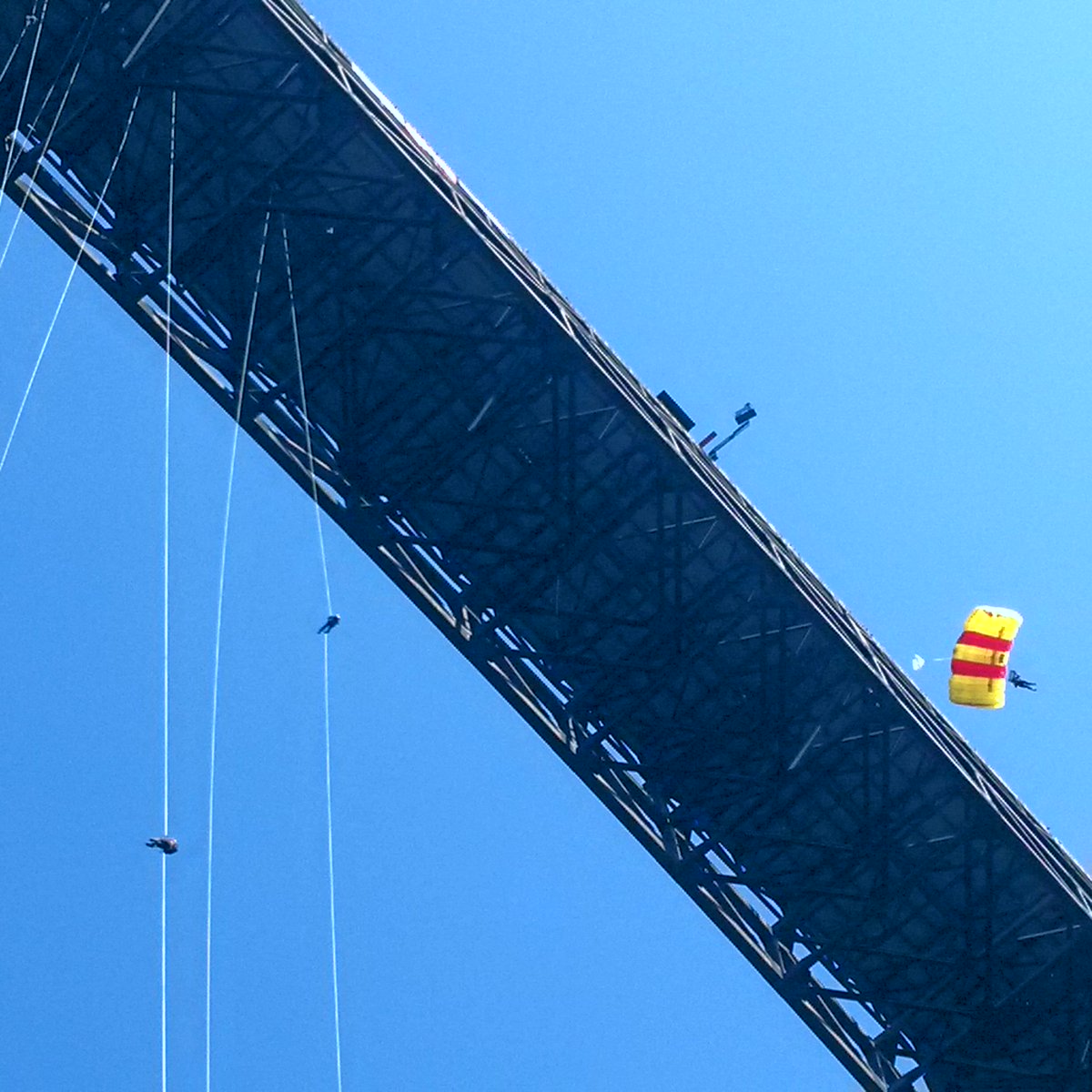 NewTecDeputy's tweet photo. Thanks @bridgeday for another great year and awesome event as always! #CANfireRappel. #2016 #anchor4👍👍 https://t.co/qWz72zyydf