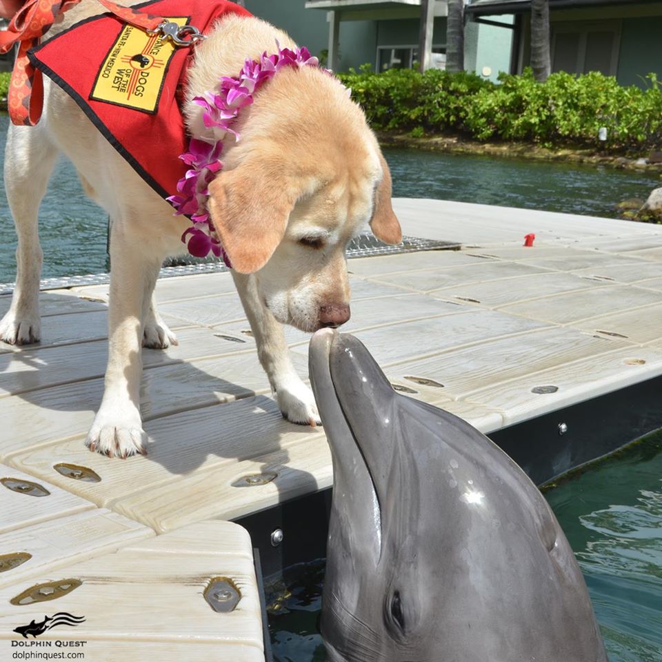 ADWSantaFe's tweet photo. For ADW Gus, it doesn't matter if you have feet, paws or flippers; friends come in all shapes and sizes! #ADWSantaFe https://t.co/HFCpGQ1iJR