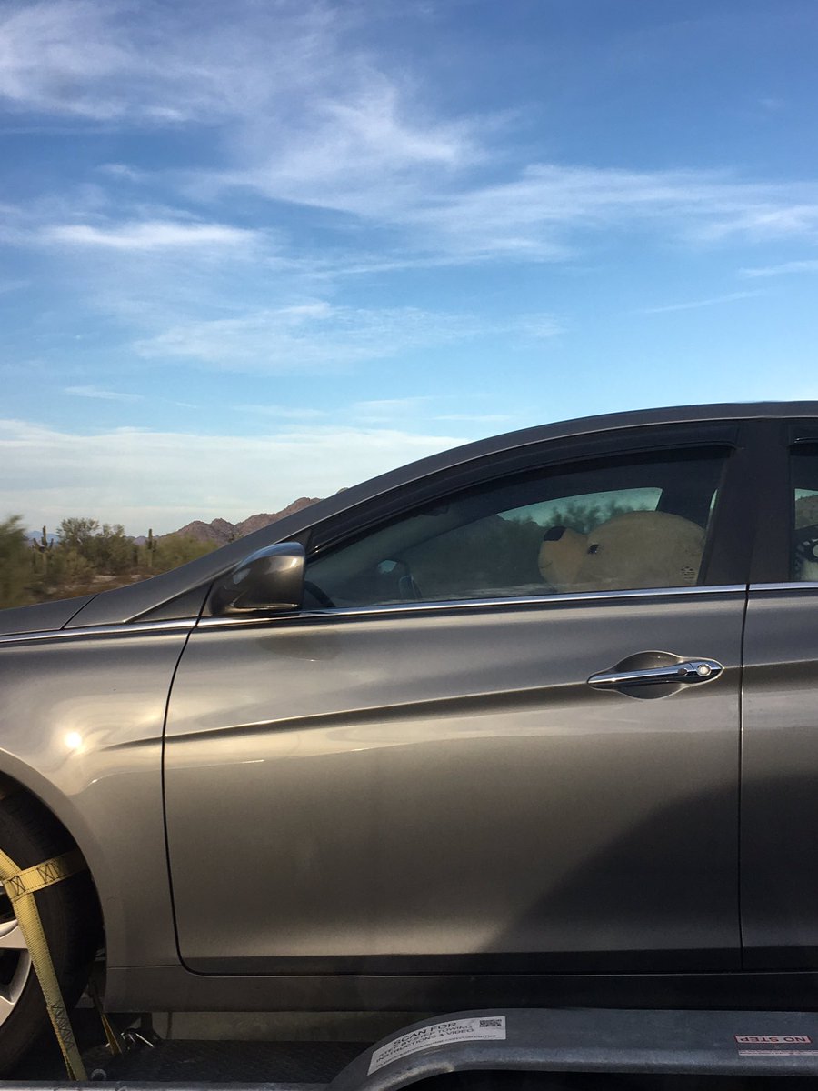 GillPill77's tweet photo. #foundbear DRIVING!!! Omg! 🐻🚗 dying!!! Bears are everywhere and it makes me happy😀 https://t.co/g6buBemoyR