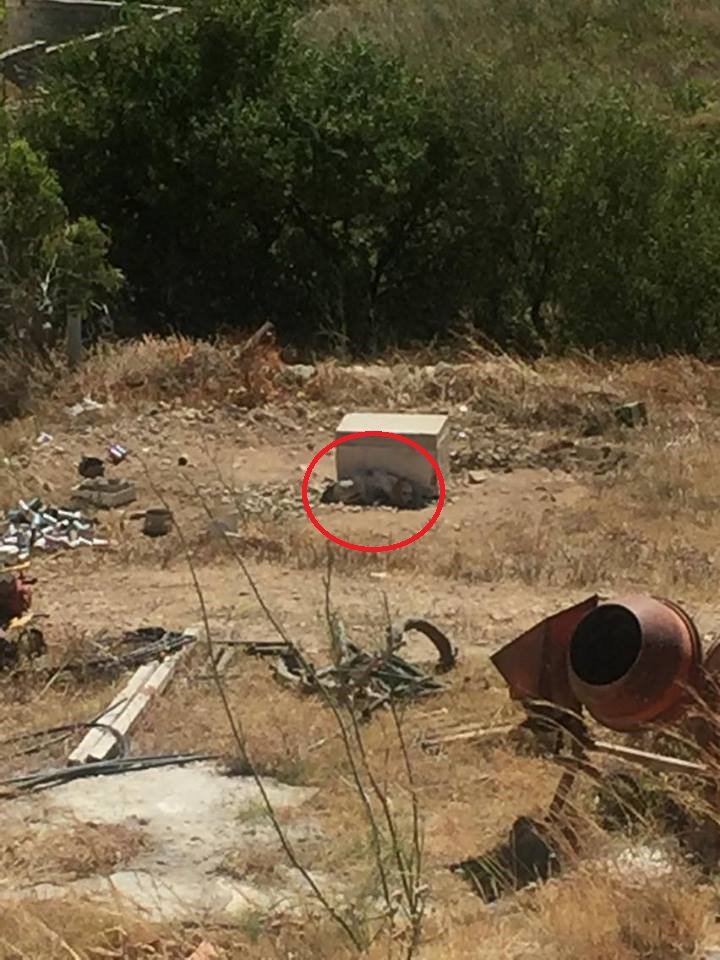 zoosos's tweet photo. Σέριφος: Κακοποιεί τον σκύλο του και κανείς δεν τον καταγγέλλει στην Αστυνομία https://t.co/n60fmOPrSF #zoosos https://t.co/XU7P8TTyWN