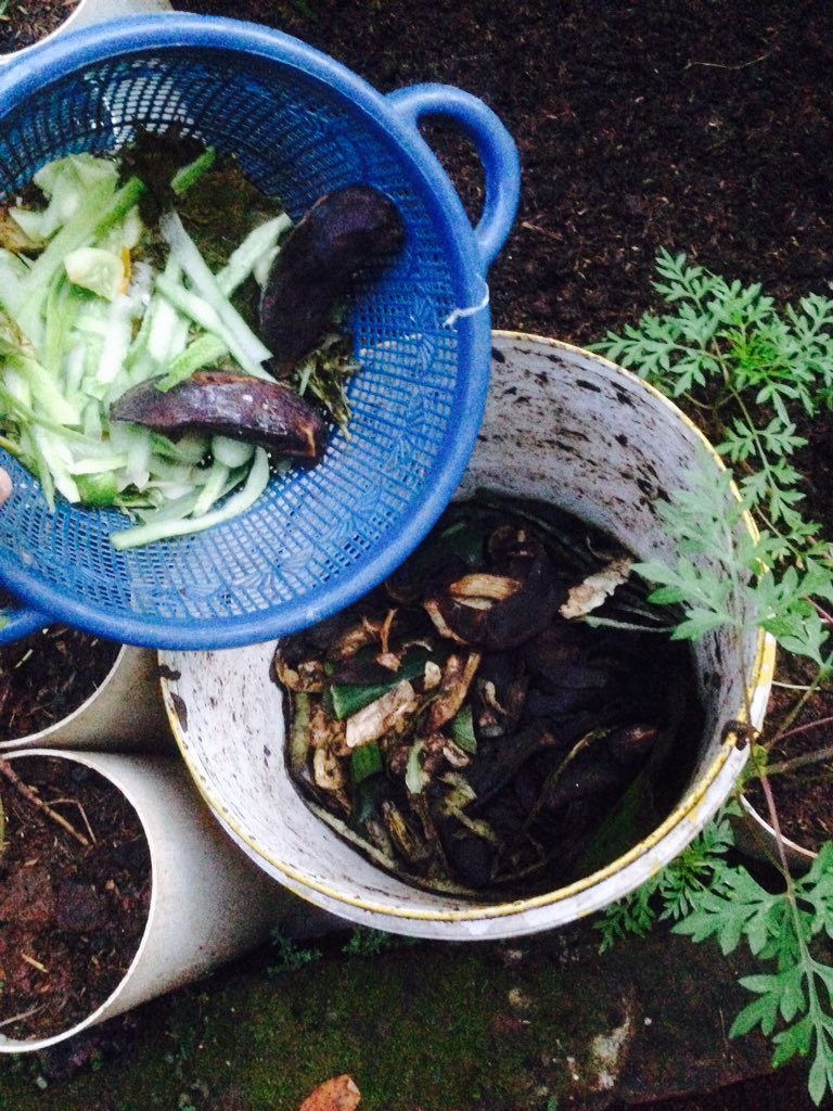 PujiNurwanto's tweet photo. Tips kelola sampah organik lunak
Dgn ember komposter: Jika sampah organik mulai bau busuk,taburi kompost/pukan @DpkBerkebun @greenerationid https://t.co/GOttWrqMAG