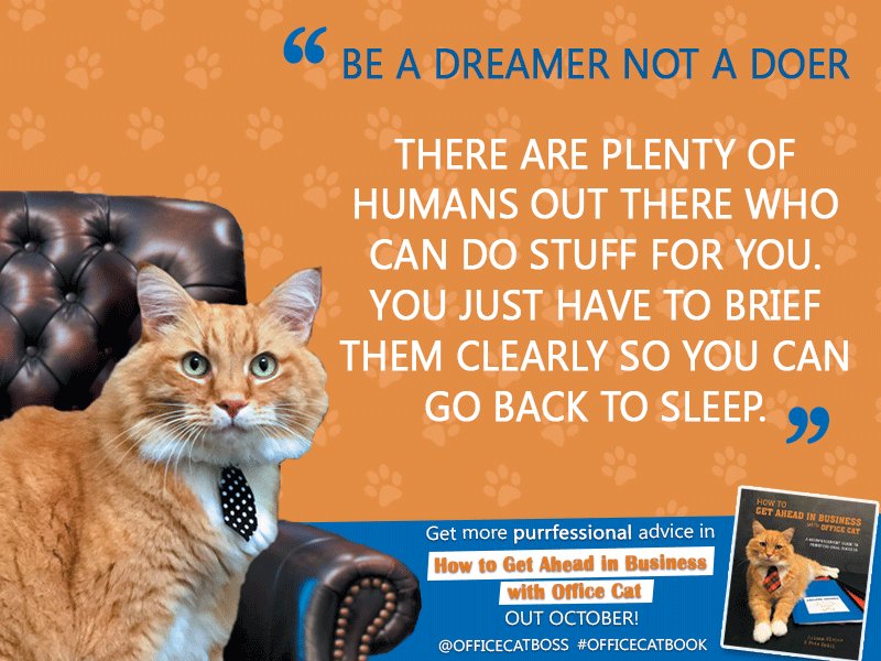 SimonSchusterAU's tweet photo. #ProTip from  @officecatboss No.1! #MondayMoti #OfficeCatBook #DreamBig https://t.co/AhaYuOF8Bm
