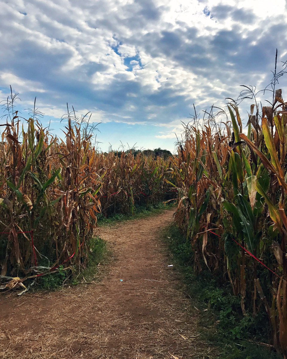 jakehammel's tweet image. Fun day with the boys! #FallAF #QueensInQueens