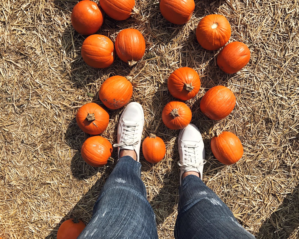 jakehammel's tweet image. Fun day with the boys! #FallAF #QueensInQueens