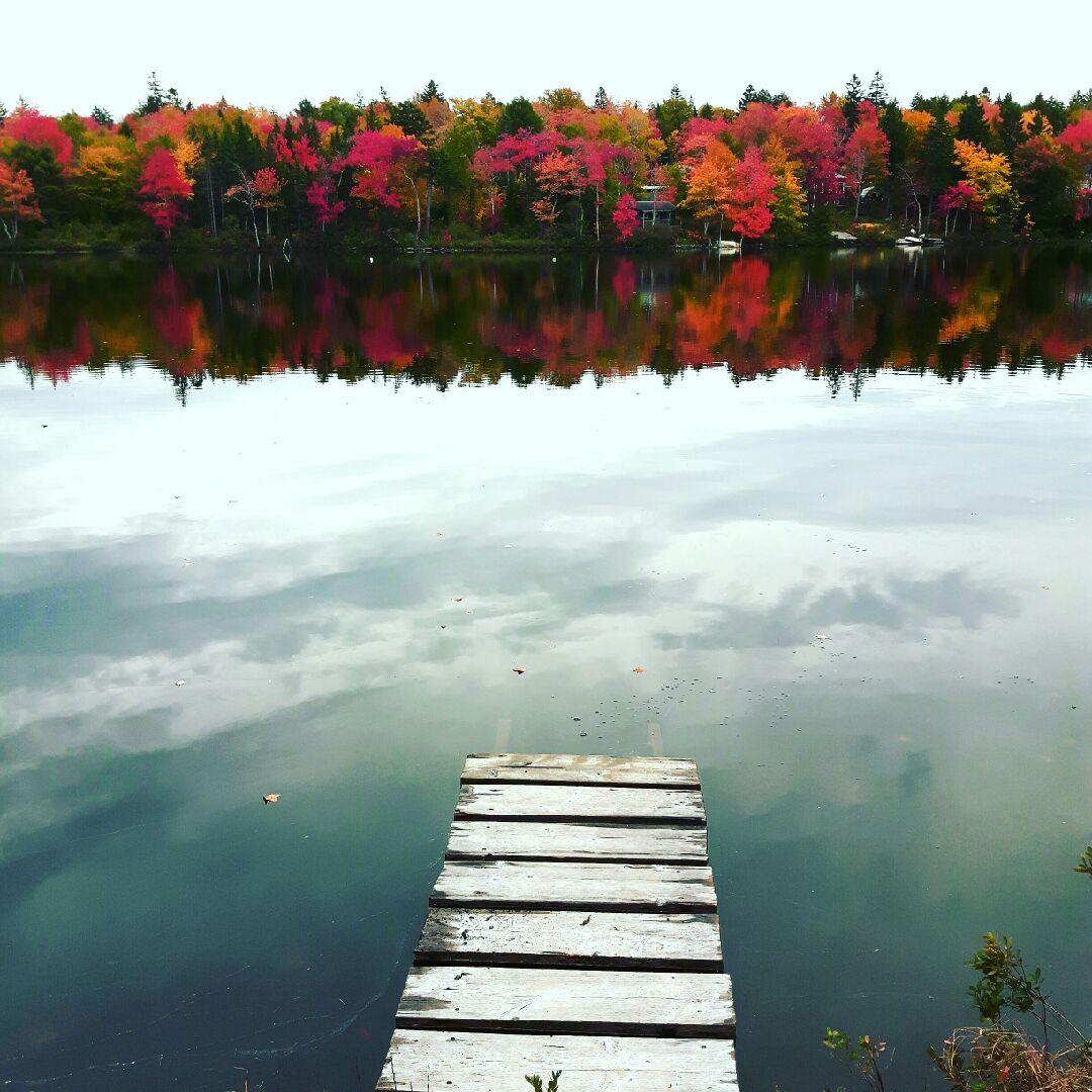 ScottyShares's tweet photo. "The trees are about to show us how lovely it is to let things go.” (Picture courtesy Gary G in Mount Uniacke, NS): https://t.co/xtdl7R9fAS