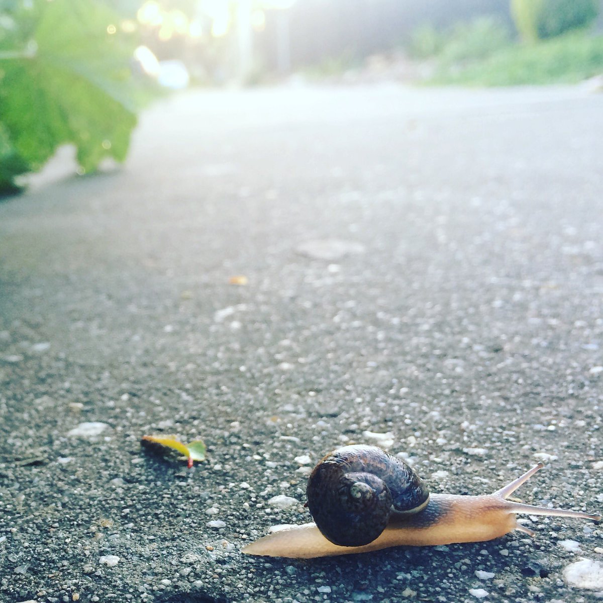 ishajcook's tweet photo. Watch your step! https://t.co/DtmjPwoYpW