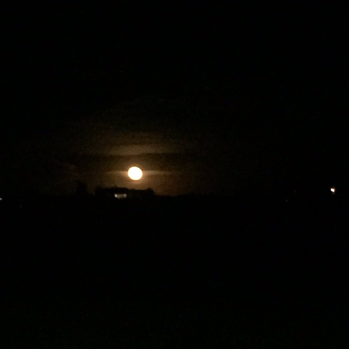 oktoberskulls's tweet photo. #FullMoonBlessings #elizabethcolorado 🌛🌝🌜 https://t.co/8LMoXZQjnj