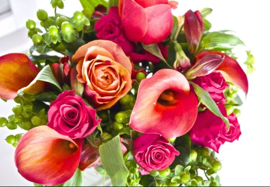 QuestionDeJour's tweet image. Is your shame true, really? Is it based in fact? Does it serve you? Is your shame logical when you examine it carefully?