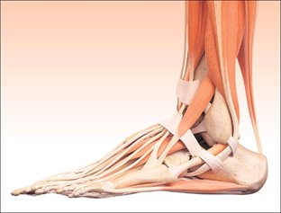 TENNISBLESSURES THEMA “Enkel- en onderbeenklachten“ tinyurl.com/jxrkrn7