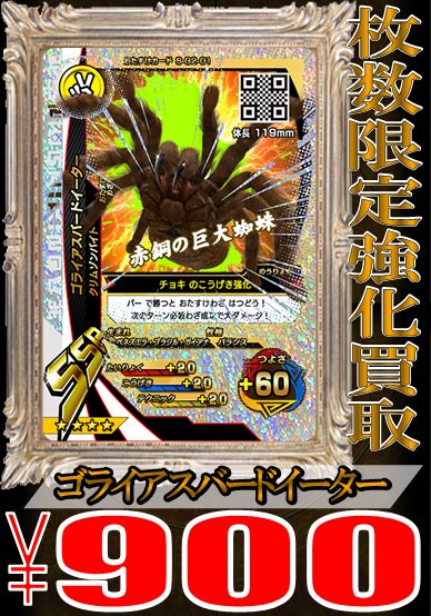 新甲虫王者 ムシキング】 バードイーター900買取！テイオウゼミ2500 