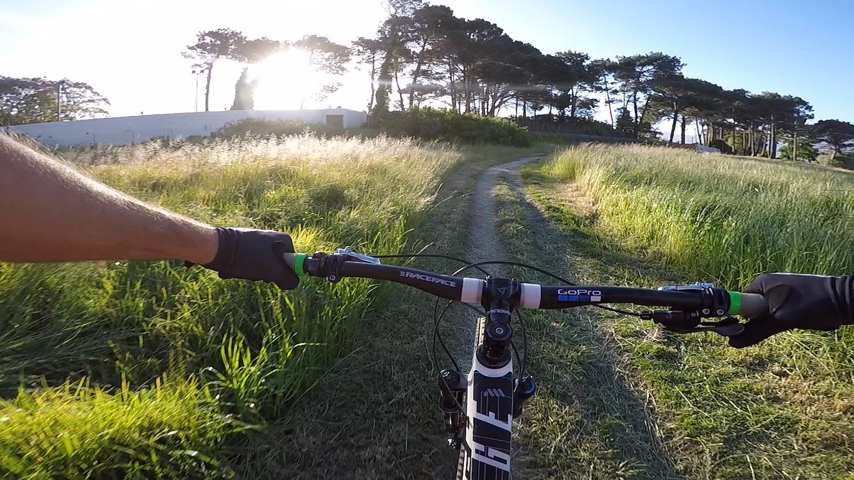 Ease into the week gentle like... you've got to pace yourself! #NoDramaItsALlama