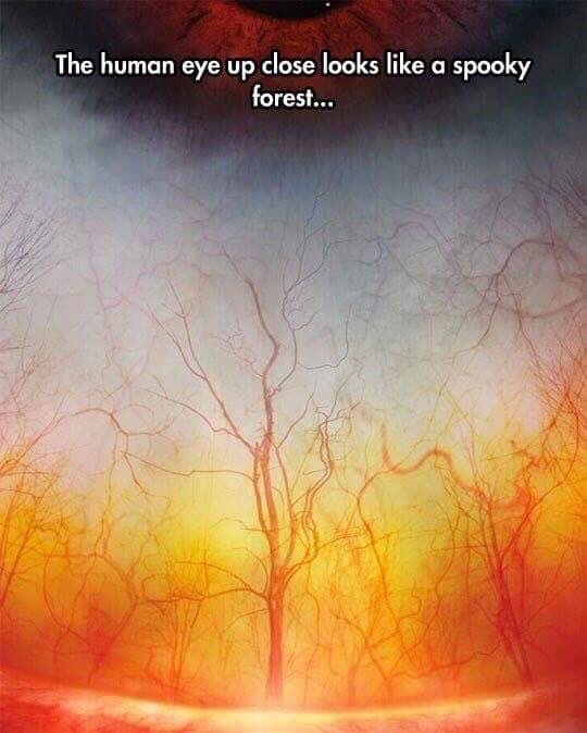 hauntedFACT tweet picture
