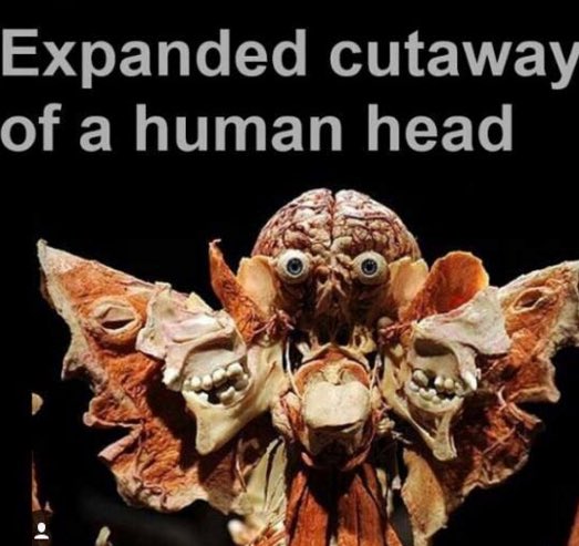 hauntedFACT tweet picture