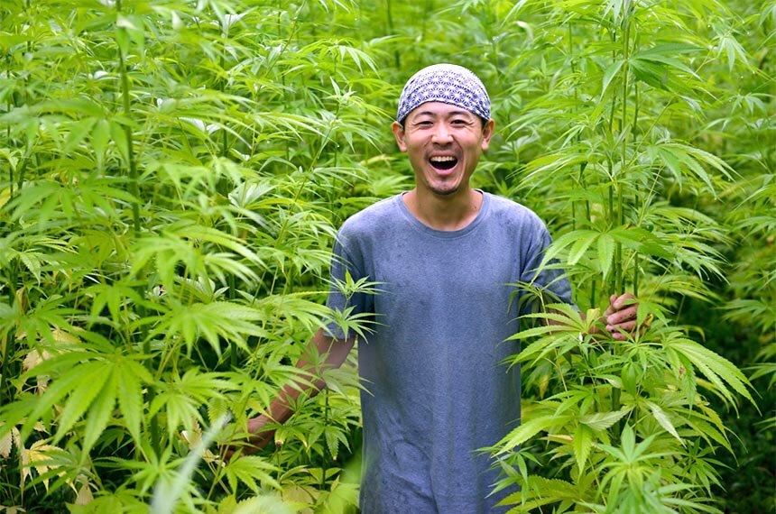 Zapa Na Twitteru 町おこしで栽培許可 大麻取締法違反容疑で逮捕 Nhkニュース 大麻大好きすぎか こんなにいい笑顔だったのに T Co 9mj4byxdq8