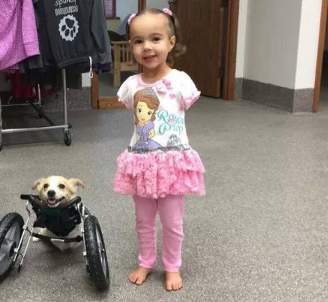 USADisability tweet picture