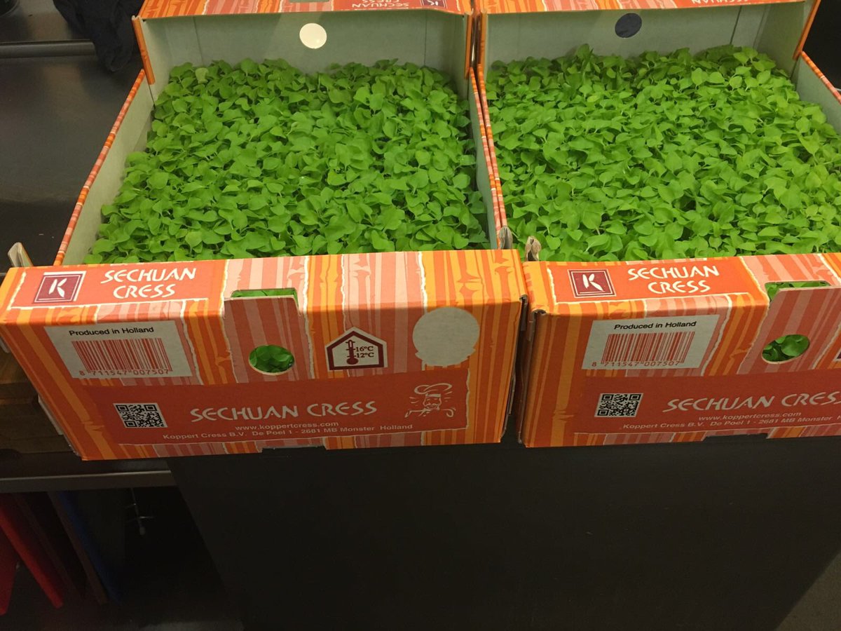 Fantastic charity evening yesterday <a href="/MemSaabNotts/">MemSaab</a>.Lots of money raised for 4 caring charities   <a href="/koppertcressUK/">KoppertCress UAE-UK</a> @atulkochhar <a href="/AshokSharma198/">Ashok Kumar</a>