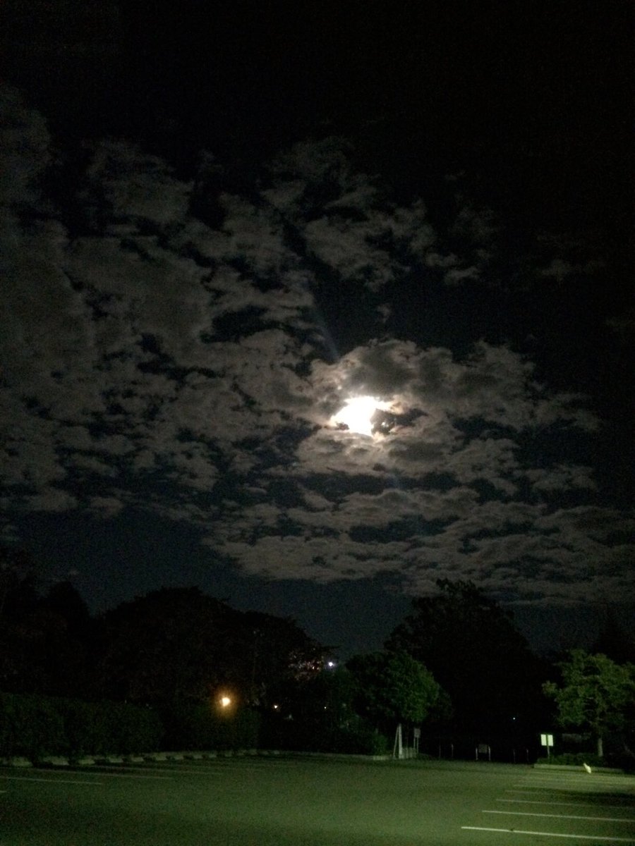 syujro's tweet photo. 寺がで空眺めてるなう笑      時期帰ろ https://t.co/7RTOoaC6ee