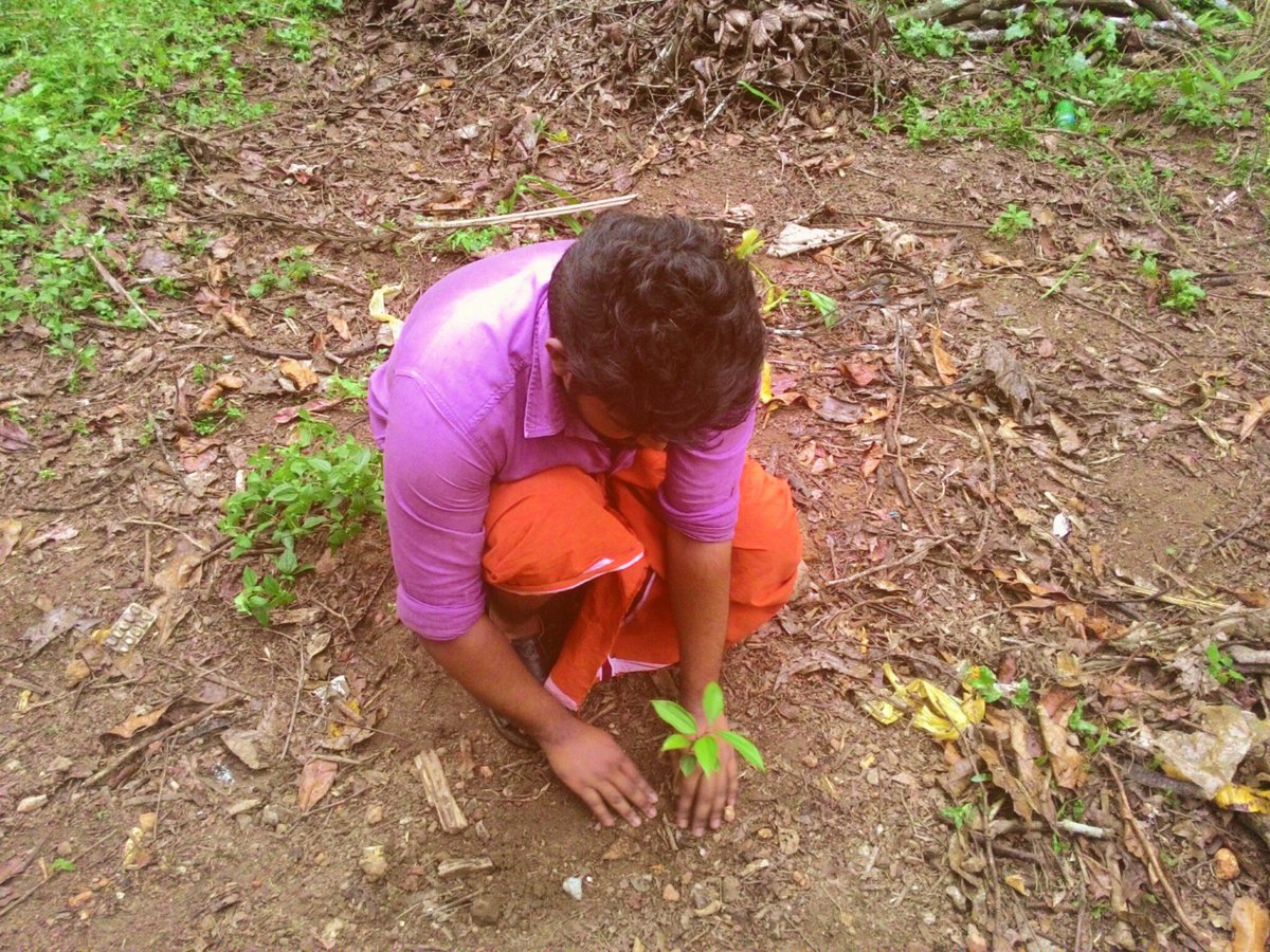 Msabhinand's tweet photo. ഭൂമിക്ക് ഒരു തണൽ രാജുവേട്ടന്റെ ബർത്ത്ഡേയുടെ ഭാഗമായി വൃക്ഷ തെെ നട്ടപ്പോൾ https://t.co/VPhNyKvYdZ