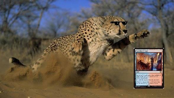 MagiaEncuentro's tweet image. Yasooka Tiene las fastalands más rápidas de todos, los pros tmb se equivocan, despiste o trampa? #PTCAGADESH #PTKLD