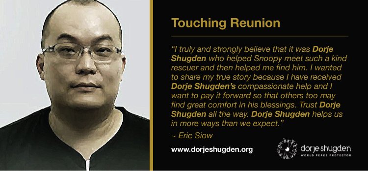 ac1773's tweet photo. I couldn’t believe my eyes! #DorjeShugden #helps us in more ways than we #expect. #buddhism #dharma #MondayMorning https://t.co/U0FrRSQVdH https://t.co/aFXZamMEJs