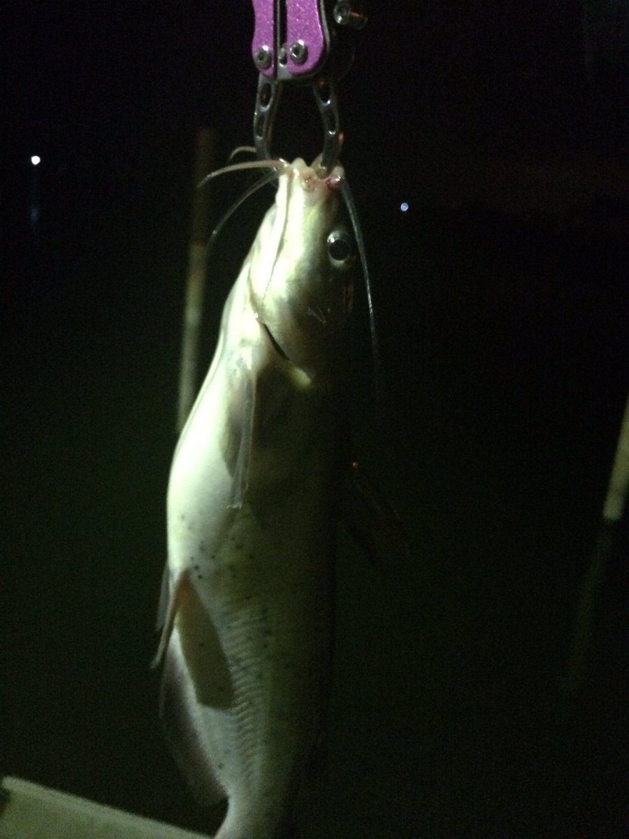 たけ (@tale10620725) on Twitter photo 