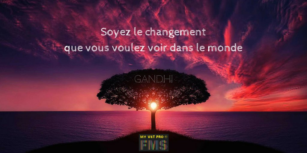 Bonne journée 😊  #motivation #citationdujour #ESS