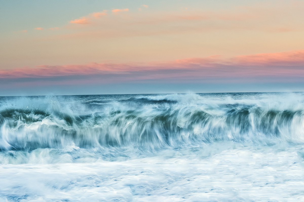 gstoyle's tweet image. North Sea beckons @NorthSeaWT @YorksWildlife @Fileybirder @YCNature @TheYorksTimes @OneYorkshire @yorkshirepost @Tweet2Yorkshire @BWPAwards