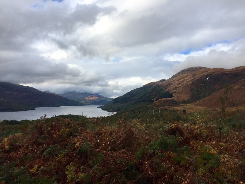 BruceRussell16's tweet image. Balmaha to Rowerdenan in ☀️then Ben Lomond in lashing ☔️️ . Thankfully it cleared for last 30 mins. #whw