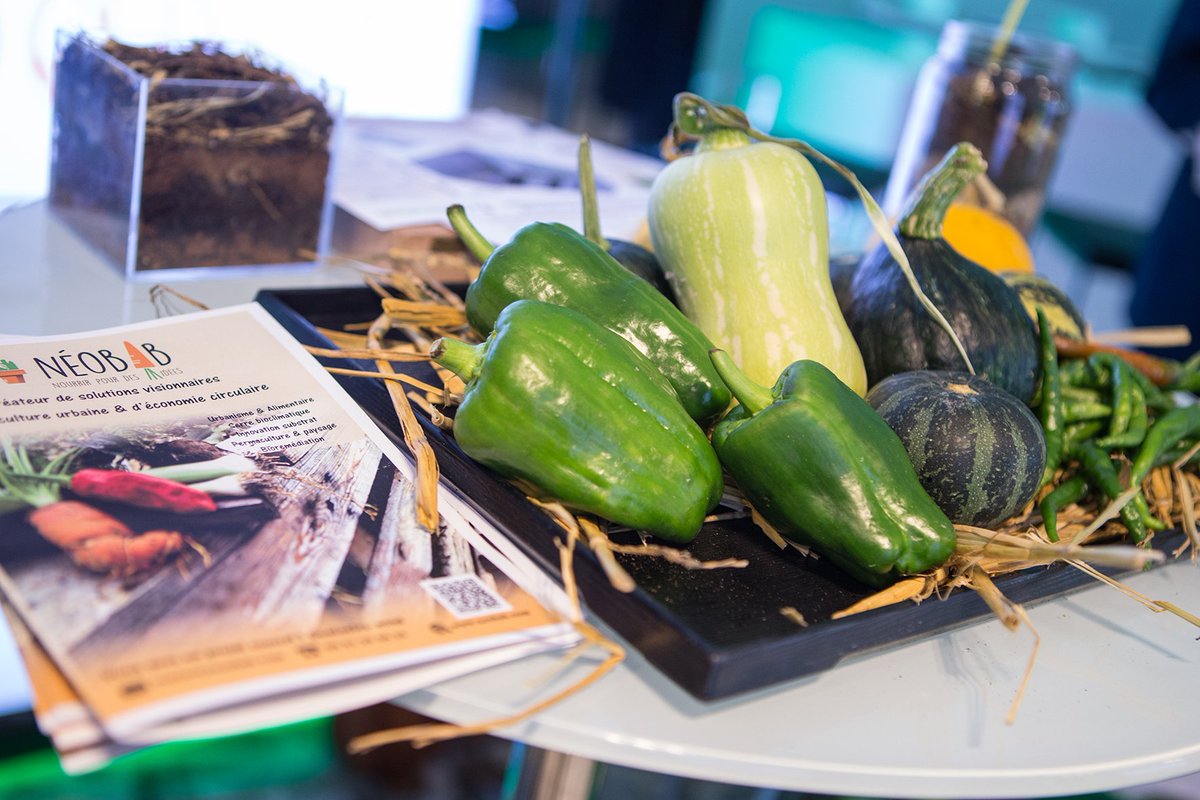 INNOVECO's tweet photo. Les photos du 6 octobre spécial #végétalisation et #agricultureurbaine sont disponibles : https://t.co/XO2mGV7aSu https://t.co/nyly4qLKmF