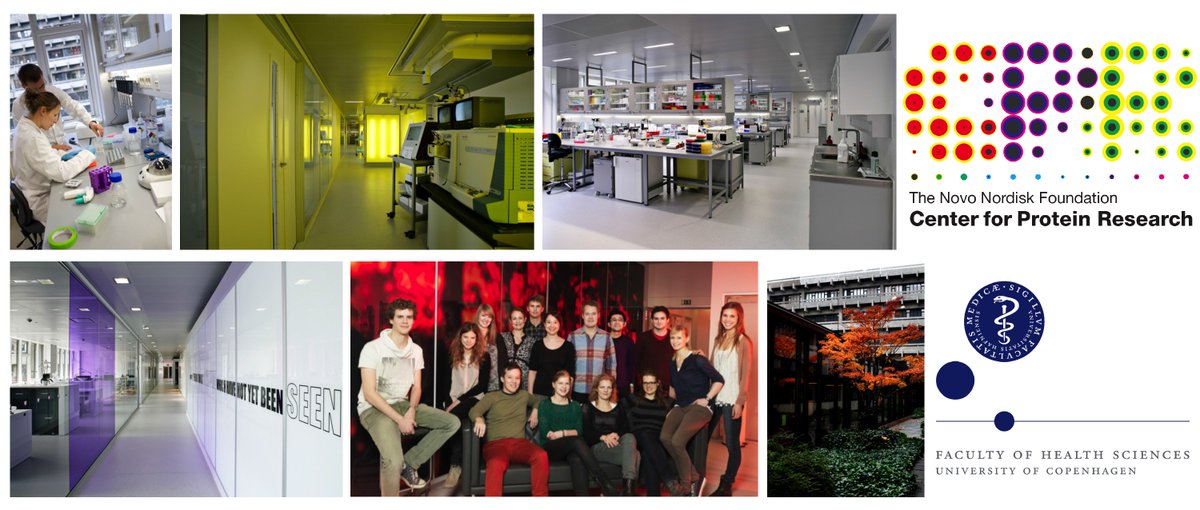Please RT: Postdoctoral positions in DNA damage signaling now available in my lab! employment.ku.dk/faculty/?show=…