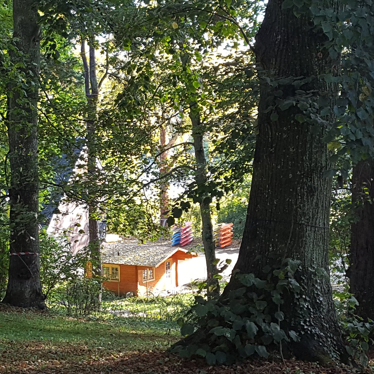 hcckteam's tweet photo. Belle journée d'automne #Herouvillesaintclair #HscSport https://t.co/ISfToHhjyz