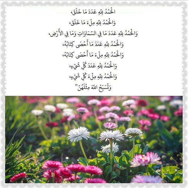 H_asr16's tweet photo. #الحمدلله_عدد_خلق_الله ( سمع الله لمن حمده ) 🌸🍃 https://t.co/vNGjNlbzNw