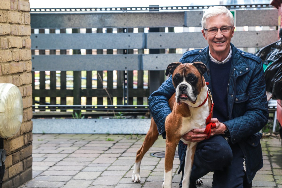 Reekie Dog Sitting (edinburgh_dog) Twitter