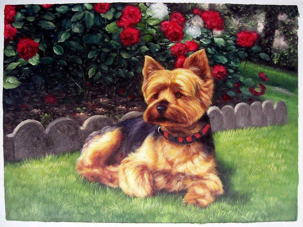 Vous voulez mettre à l'honneur votre chien en réalisant une superbe peinture à son effigie? C'est par ici peignezvotrevie.fr/order.php #Chiens